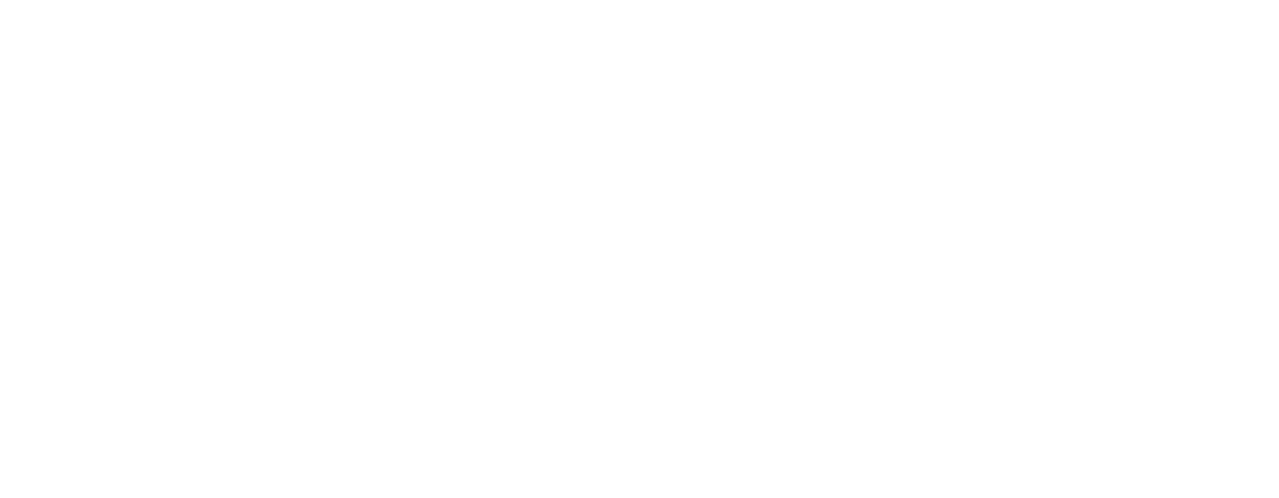 Satori Town Center
